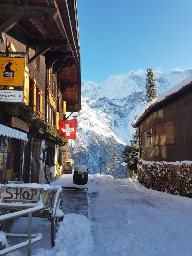 Pension Gimmelwald Maison d'hôtes *