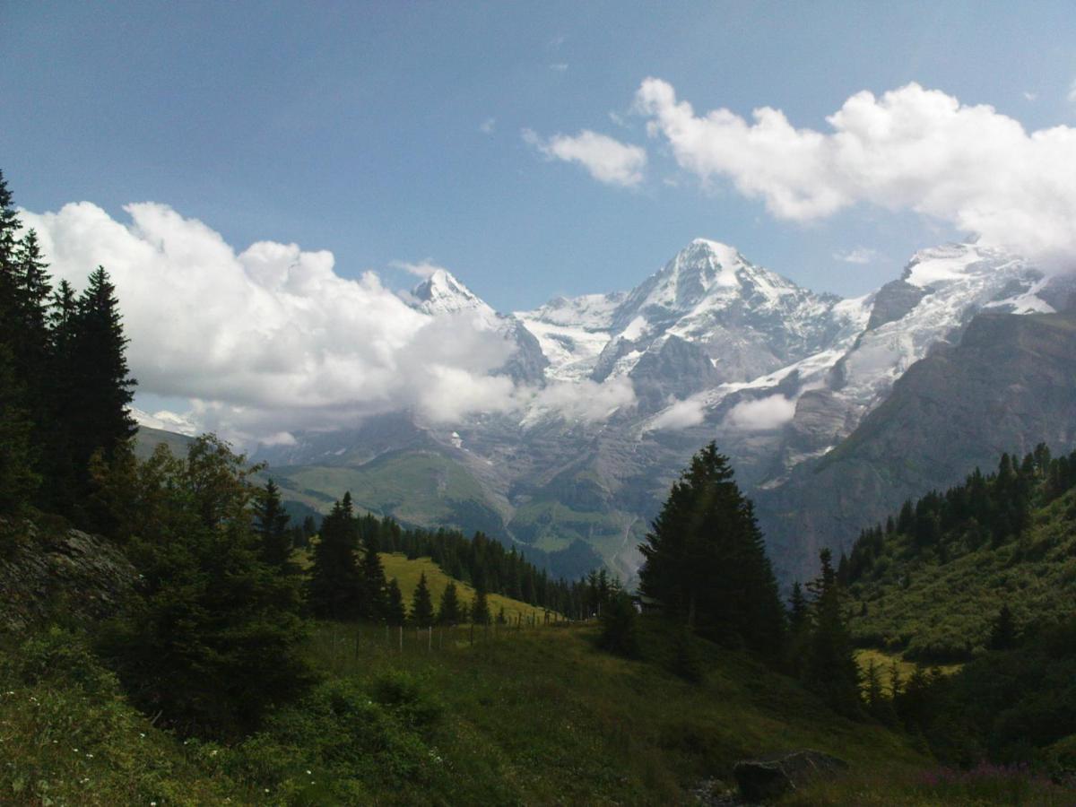 Pension Gimmelwald Maison d'hôtes
